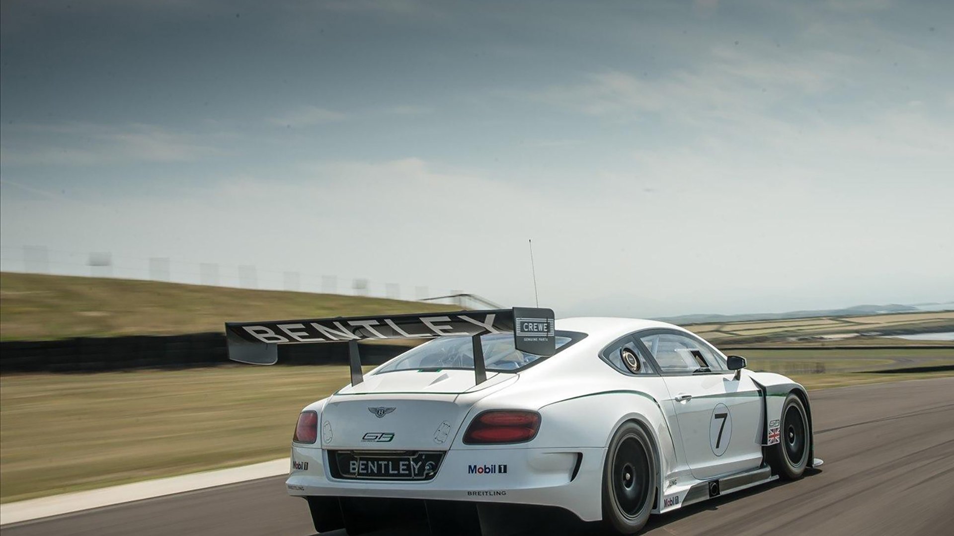 女篮精神：从奋战到荣耀的感人故事，女篮团队精神