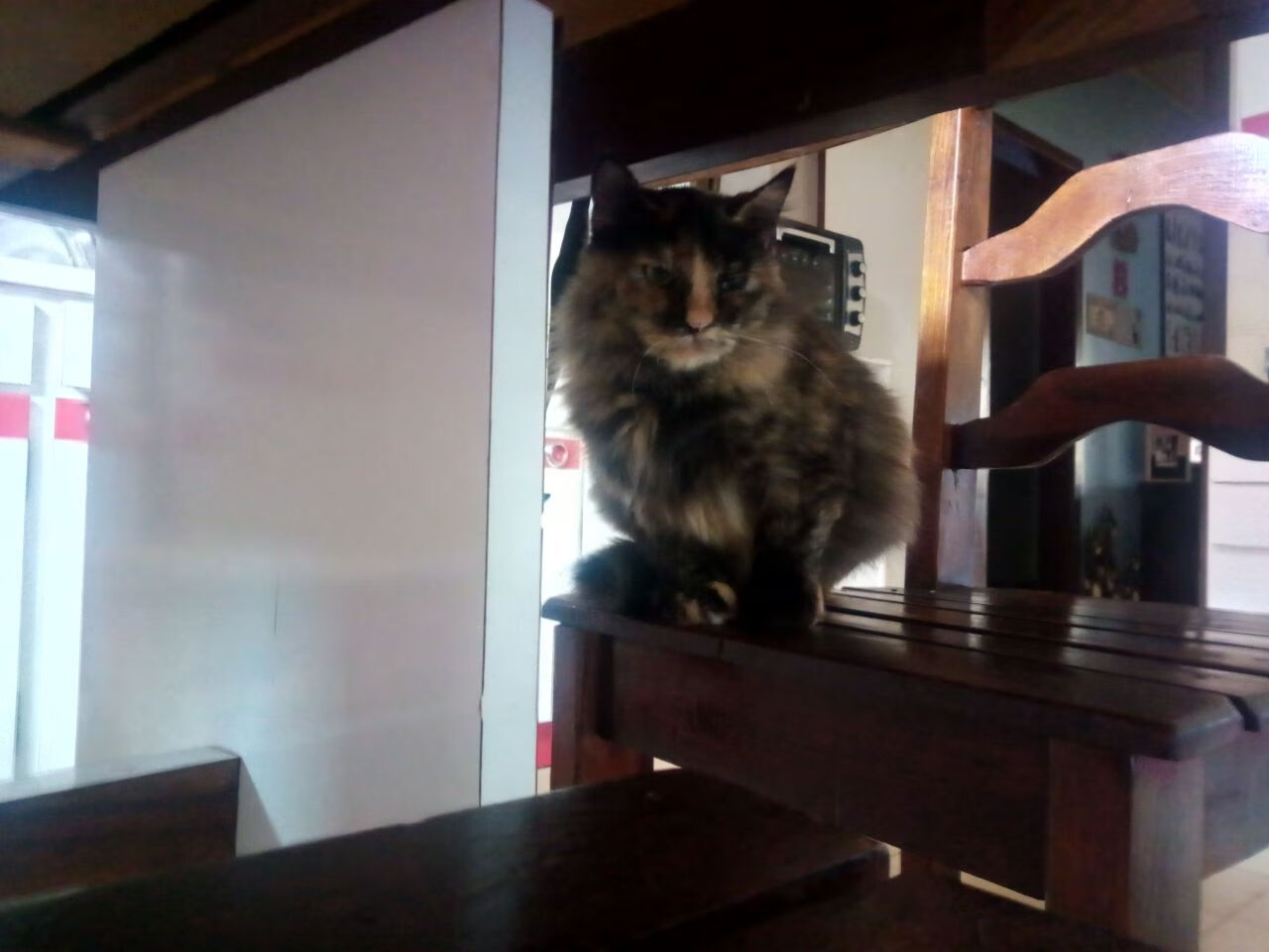 意甲:年轻潜力股频繁转会,未来可持续发展,意甲最年轻球队