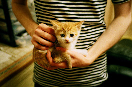 爱游戏中国官方网站平台-_顶级巡回赛：积分争夺战引发疯狂追逐_，巡回赛规则