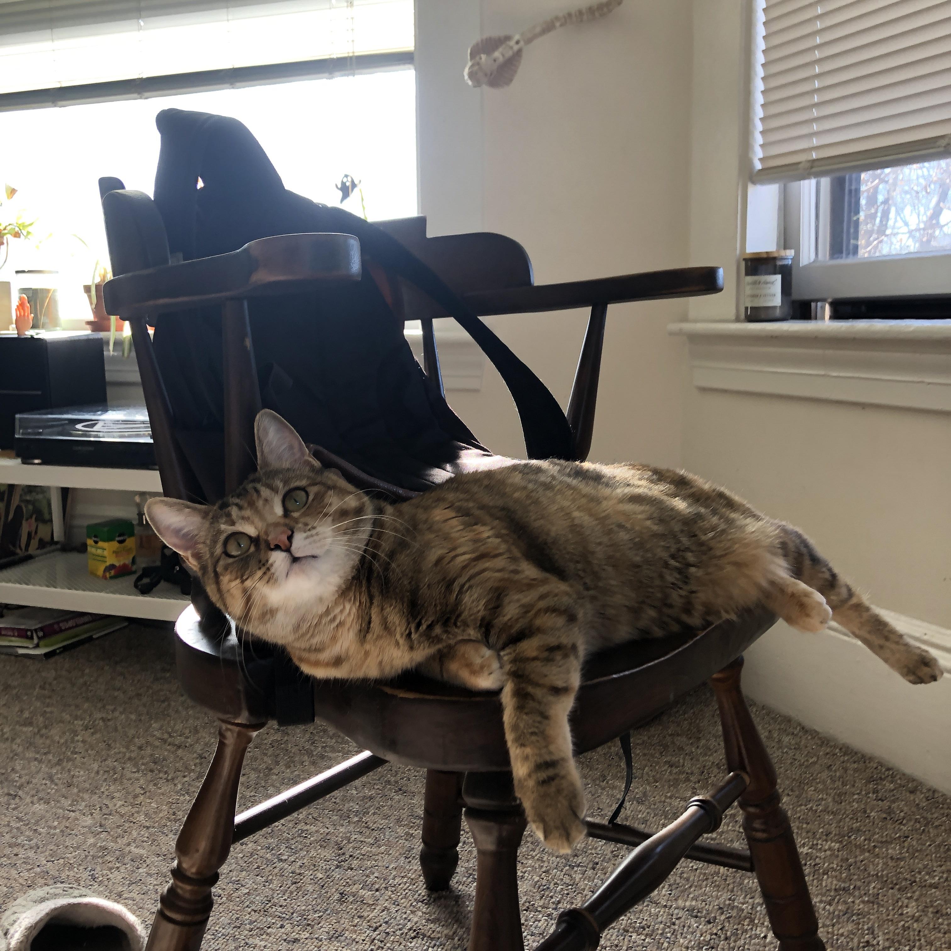 爱游戏平台-“未来之星”青少年篮球明星展演在南京精彩上演，彰显青春风采