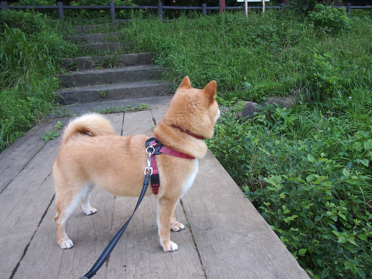 全国青少年“篮球文化节”在昆明跨界融合,推广多元体育文化,昆明青少年篮球训练营