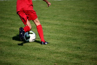 爱游戏娱乐平台-鹈鹕青训体系被评为联盟样板项目，鹈鹕原来是哪个队